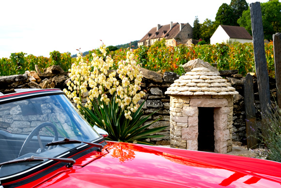 Collection de voiture de collection devant un hôtel particulier de Bourgogne